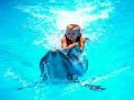 Dolphin Swimming 5min