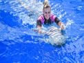 Dolphin Swimming 5min