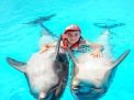 Dolphin Swimming 5min