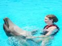Dolphin Swimming 5min